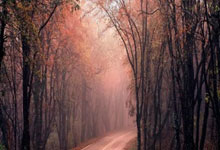 极速体育：太阳灭热火6连胜 约基奇23+20+16掘金力克雷霆.