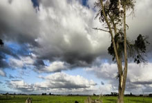 极速体育：古广明：沙特是南美风格脚法细腻 相信国足有希望打平或者赢一球.