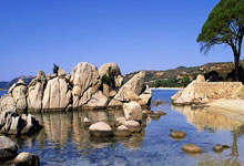 极速体育:湖人3连败!东契奇32+7状元爆发,里夫斯18+6,詹姆斯该认清现实.